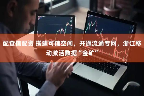 配查信配资 搭建可信空间，开通流通专网，浙江移动激活数据“金矿”