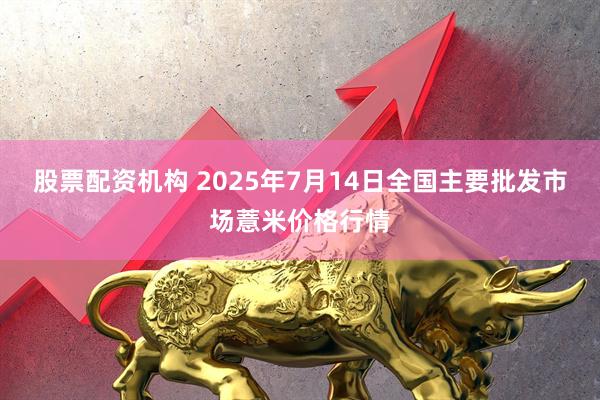 股票配资机构 2025年7月14日全国主要批发市场薏米价格行情