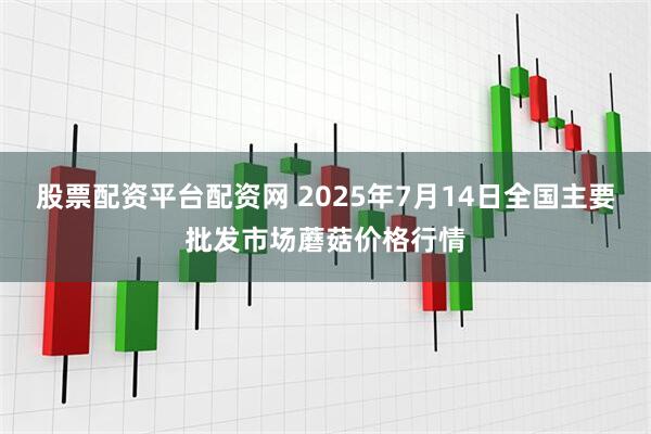 股票配资平台配资网 2025年7月14日全国主要批发市场蘑菇价格行情